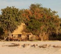 Nsolo Camp amongst the Trees